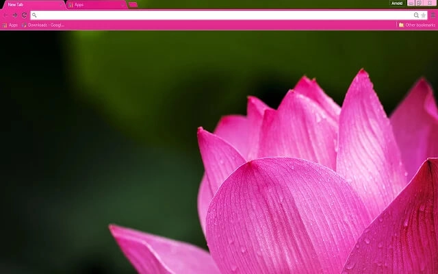 Pink Lotus Theme