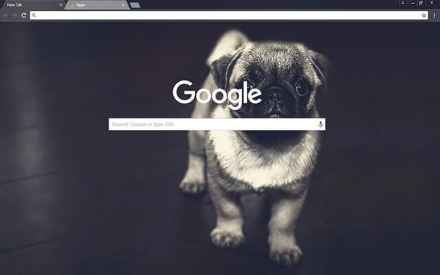 Pug Puppy Chrome theme - Screenshot 2