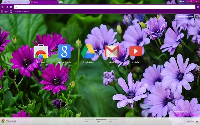 Purple Daisies Chrome theme - Screenshot 3