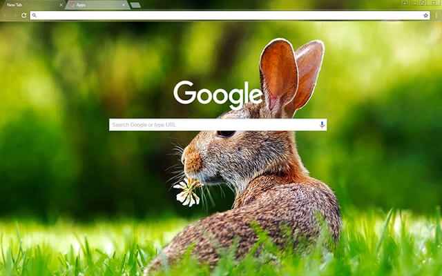 Rabbit Chrome theme - Screenshot 2
