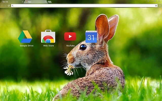 Rabbit Chrome theme - Screenshot 3