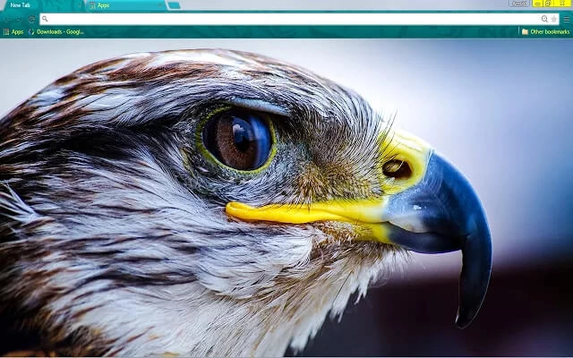 Raptor Theme