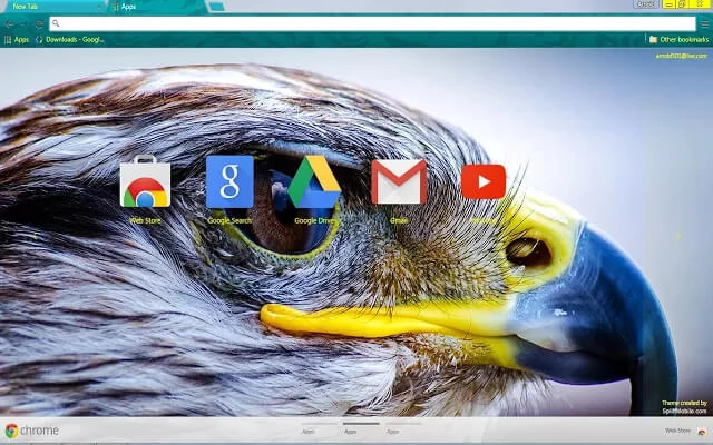 Raptor Chrome theme - Screenshot 2