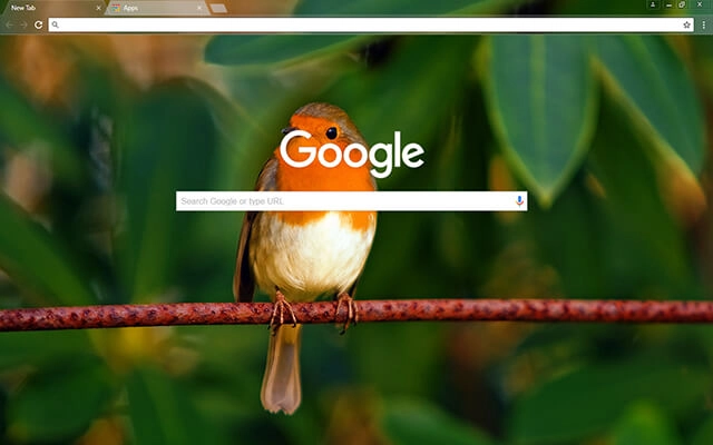 Red Robin Chrome theme - Screenshot 2