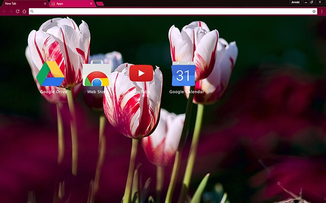 Rose Tulips Chrome theme - Screenshot 3