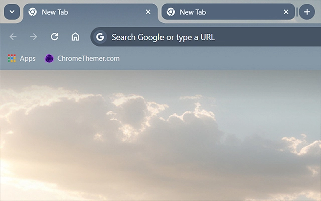 Savanna Chrome theme - Screenshot 2