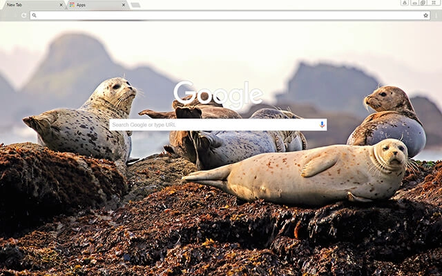 Seals Chrome theme - Screenshot 2