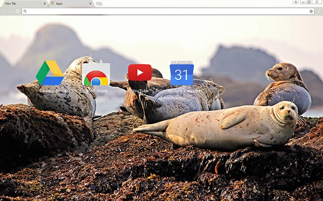Seals Chrome theme - Screenshot 3