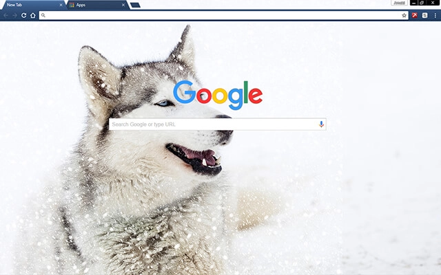 Siberian Husky Dog Chrome theme - Screenshot 2