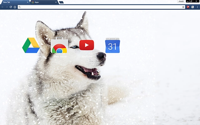 Siberian Husky Dog Chrome theme - Screenshot 3