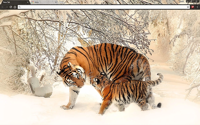 Siberian Tigers Theme