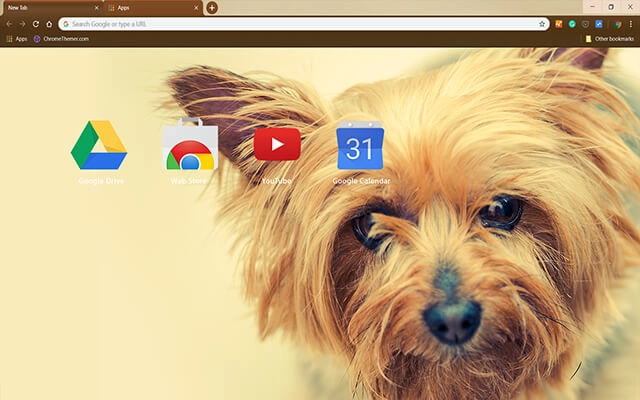 Silky Terrier Chrome theme - Screenshot 3
