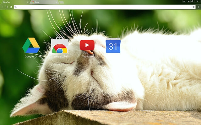 Sleeping Kitten Chrome theme - Screenshot 3