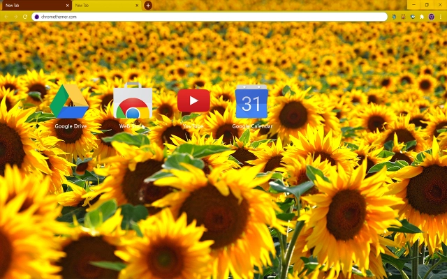 Solarized Sunflowers Chrome theme - Screenshot 3
