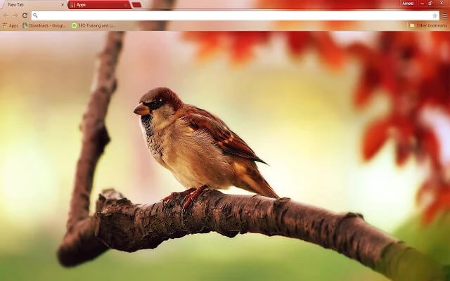 Sparrow Theme