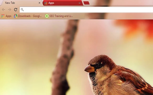 Sparrow Chrome theme - Screenshot 2