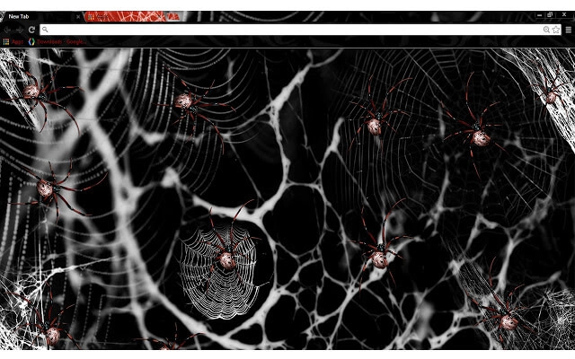 Spiders Theme