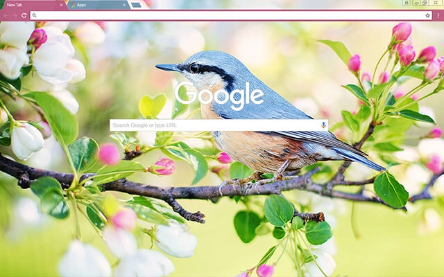 Spring Bird Chrome theme - Screenshot 2