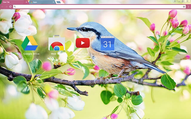 Spring Bird Chrome theme - Screenshot 3