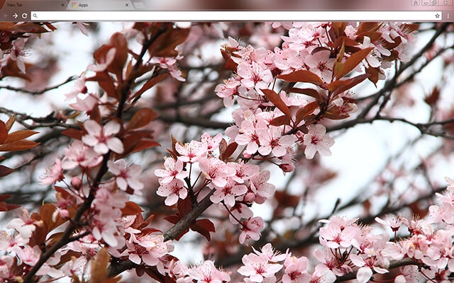 Spring Theme