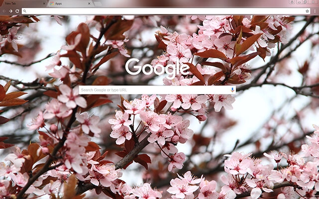 Spring Chrome theme - Screenshot 2