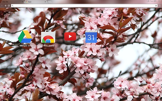 Spring Chrome theme - Screenshot 3