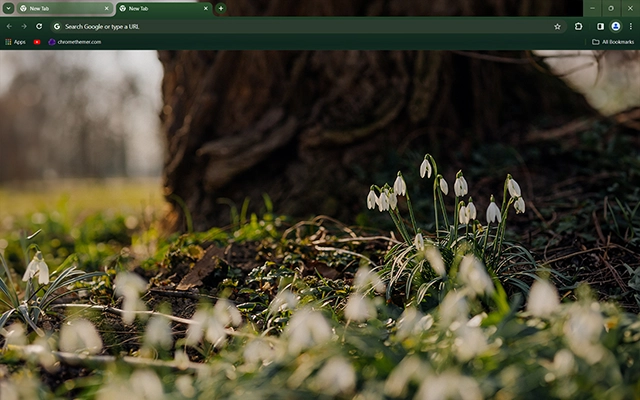 Spring Snowdrops Theme