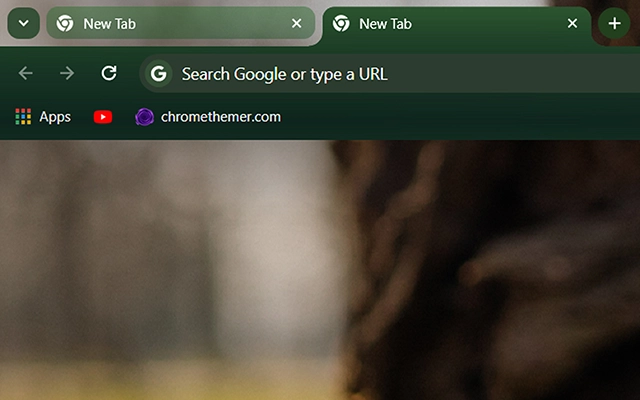 Spring Snowdrops Chrome theme - Screenshot 2