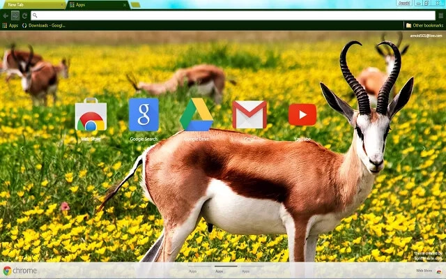 Springbok Chrome theme - Screenshot 2