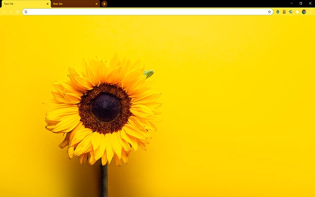 Sunflower Yellow Theme