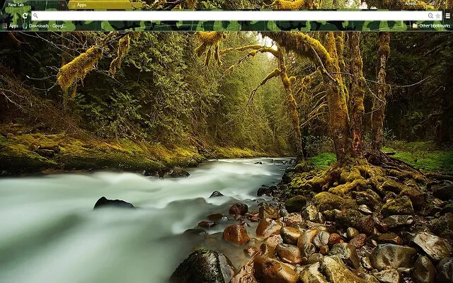 Survival Chrome Theme Survival Chrome Theme