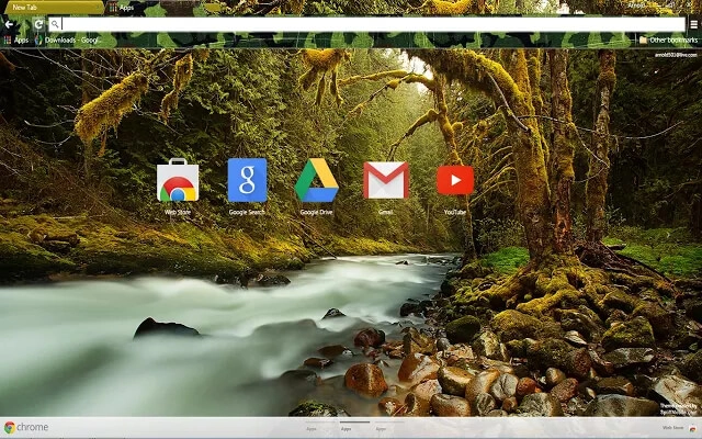 Survival Chrome theme - Screenshot 2