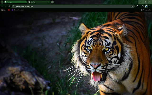 Tiger Theme