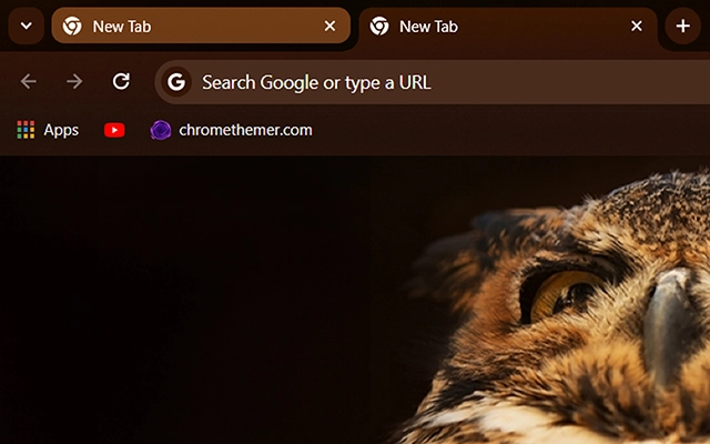 Tiger Owl Chrome theme - Screenshot 2