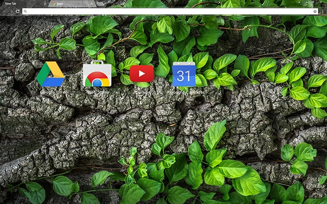 Tree Bark Chrome theme - Screenshot 3