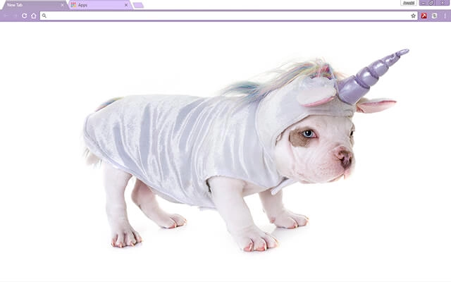 Unicorn Puppy Theme