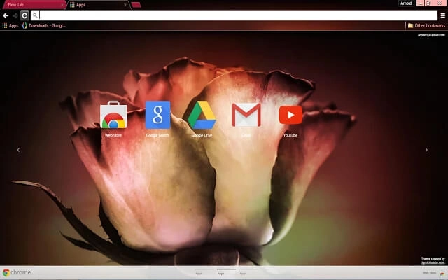 Vintage Rose Chrome theme - Screenshot 3