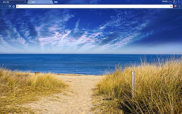 Virginia Beach Theme