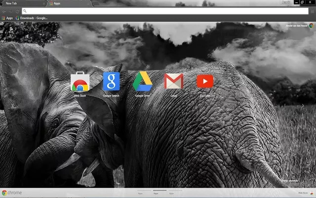 Wild Elephants Chrome theme - Screenshot 3
