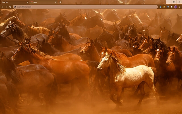 Wild Horses Theme