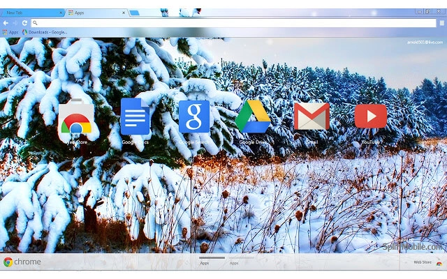 Winter Chrome theme - Screenshot 3