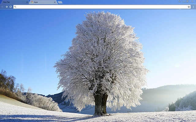 Wintry Theme