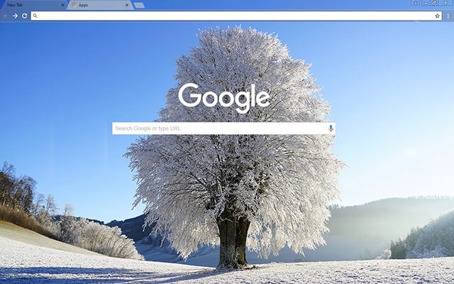Wintry Chrome theme - Screenshot 2