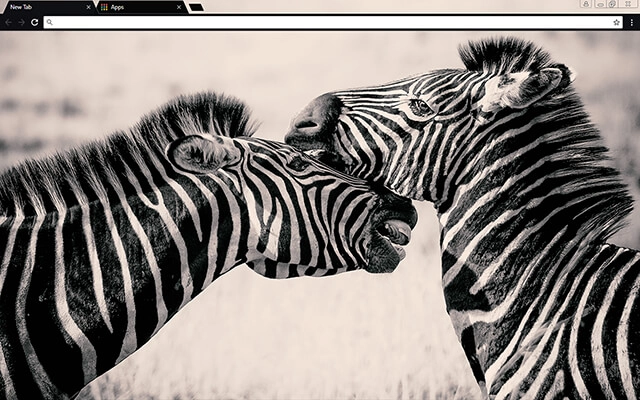Zebras Theme
