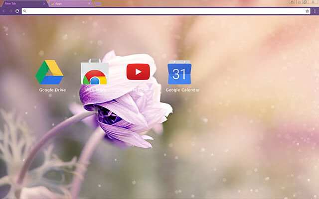 Anemone Flower Google Theme - Theme For Chrome