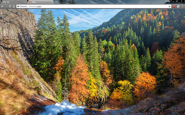 Autumn Forest Chrome Theme