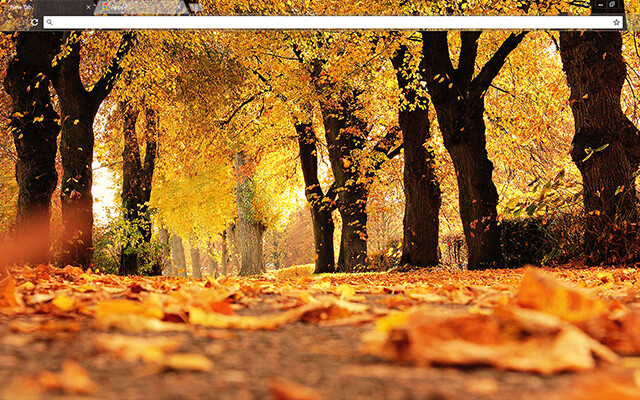 Autumn Trees Chrome Theme