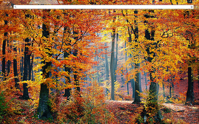 Autumn Woods Google Chrome Theme