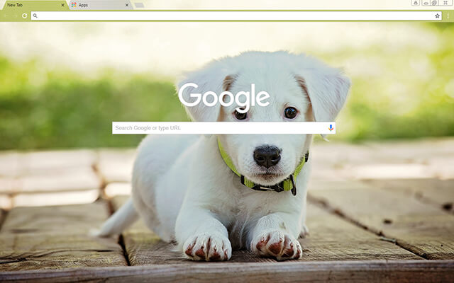 Baby Puppy Chrome Theme - Theme For Chrome