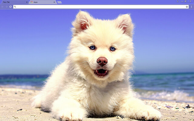 Cute Beach Puppy Google Chrome Theme